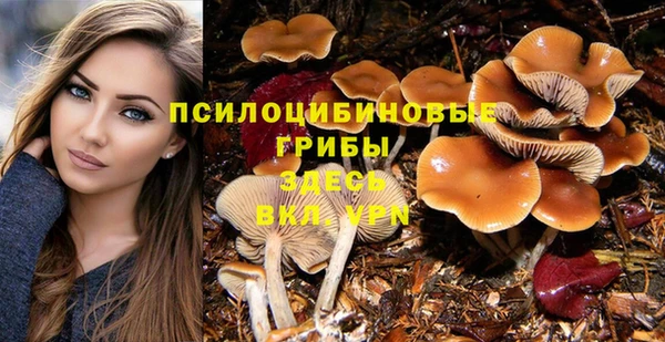 мескалин Осташков