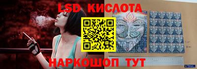 стаф Надым