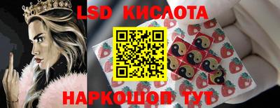 стаф Надым