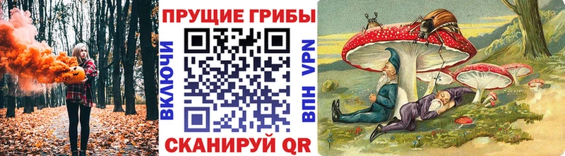 где купить наркотик  Великий Новгород  Псилоцибиновые грибы Psilocybine cubensis 