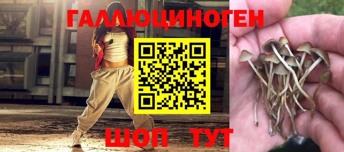 Великий Новгород  Галлюциногенные грибы мицелий  Вход с VPN 