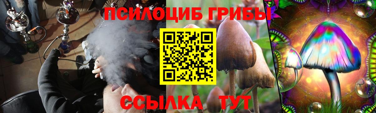 Псилоцибиновые грибы Psilocybine cubensis Великий Новгород